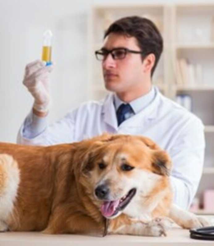 Agendamento de Exames Bioquímica para Animais Jardim Bressan - Exames Citologias para Animais