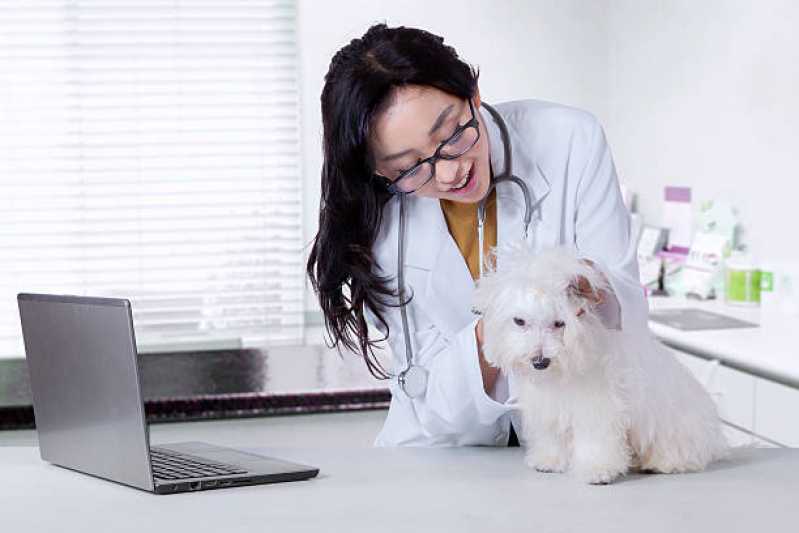 Agendamento de Nefrologia Animal Santo Onofre - Nefrologia para Cachorro de Pequeno Porte