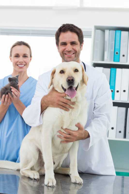 Agendamento de Nefrologia para Cachorros e Gatos Santa Cruz - Nefrologia Animal
