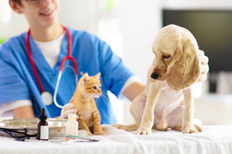 Cardiologista de Pet Agendar XIV De Novembro - Cardiologista Animal