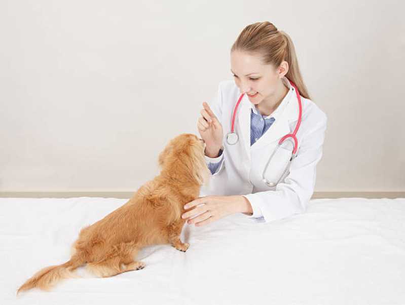 Cardiologista para Animais Agendar Recanto Tropical - Cardiologista de Pet