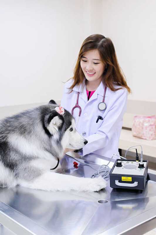 Cardiologista para Cachorro Iracema do Oeste - Cardiologista para Cachorro Cascavel