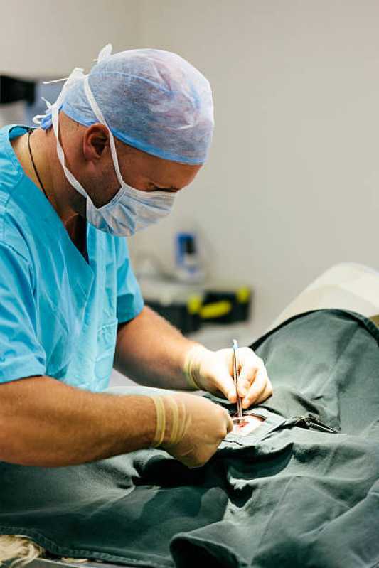 Cirurgia Ortopédica Veterinária Nova Santa Rosa - Cirurgia para Cachorros de Pequeno Porte