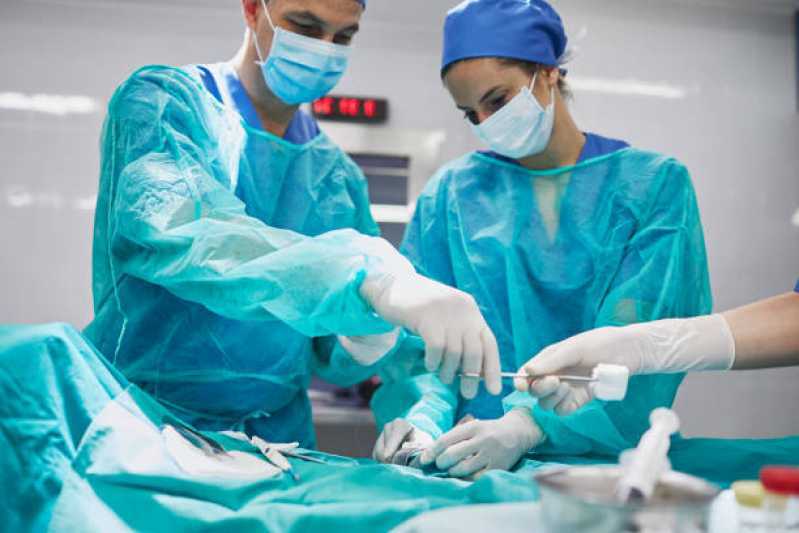 Cirurgia para Animais de Médio Porte Santa Tereza do Oeste - Cirurgia Ortopédica Veterinária