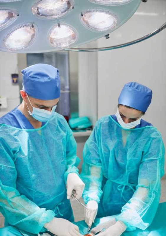 Cirurgia para Gatos Agendar Fogotti - Cirurgia Ortopédica Veterinária
