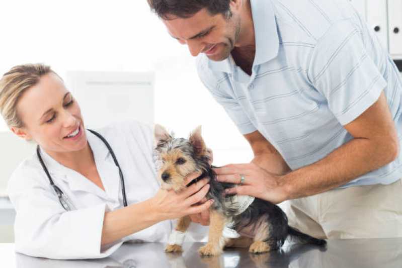Clínica Especialista em Medicina Preventiva Animal Esmeralda - Medicina Preventiva para Cachorros
