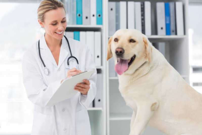 Clínica Especialista em Medicina Preventiva para Cães e Gatos Jardim Panorama - Medicina Preventiva para Cães