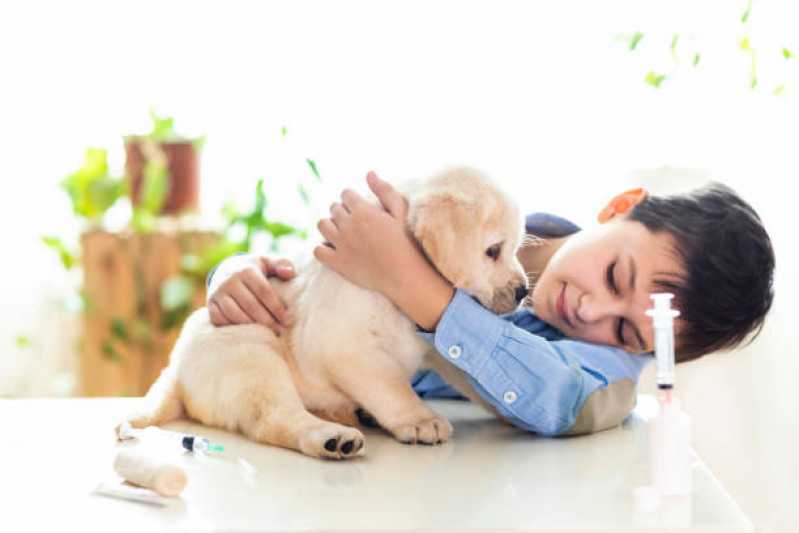 Clínica Especialista em Medicina Preventiva para Cães Ibema - Medicina Preventiva para Cães