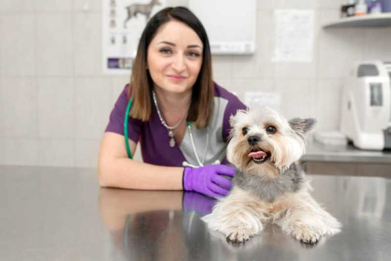 Clínica Especializada em Gastroenterologia para Cachorros Morumbi - Gastroenterologia Animal