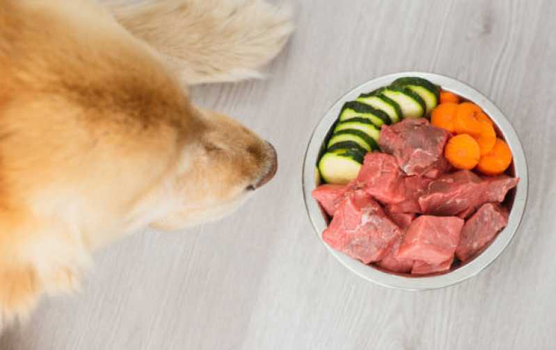 Clínica Especializada em Nutrição Veterinária Canina Fogotti - Nutrição Veterinária para Cachorro