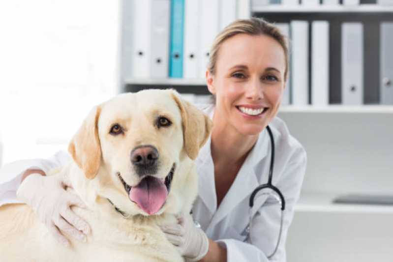 Clínica Especializada em Ortopedia Animal Centro Industrial Meinolfo H Heiss - Ortopedista de Cachorro