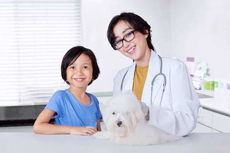 Clínica Especializada em Ortopedista para Cachorro Centro de Toledo - Ortopedia para Animais de Médio Porte