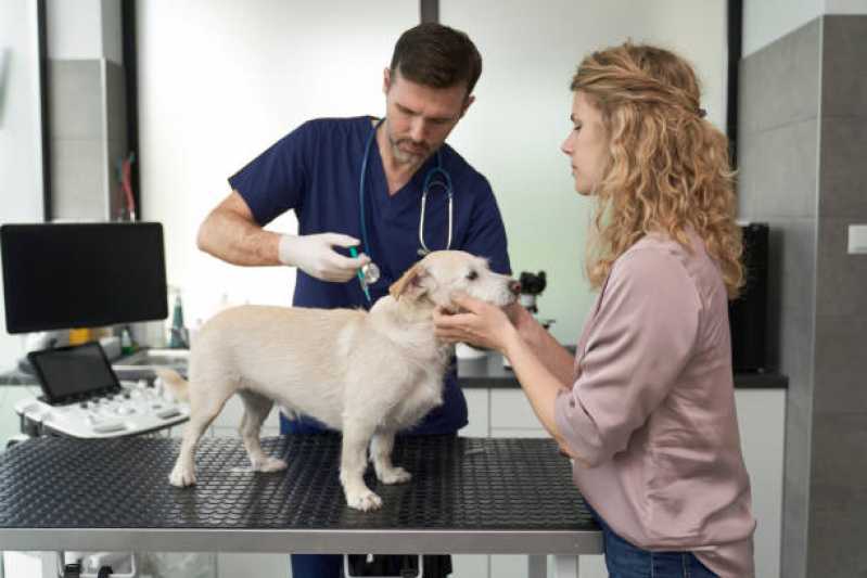 Consulta para Cachorro Agendar Três Barras do Paraná - Consulta Veterinária para Cachorros