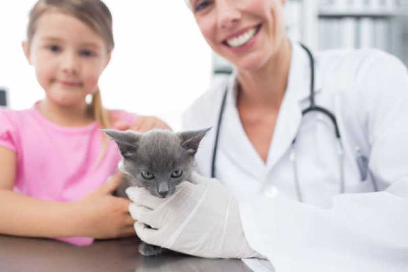Consulta Veterinária Emergência Agendar Céu Azul - Consulta Veterinária de Gatos