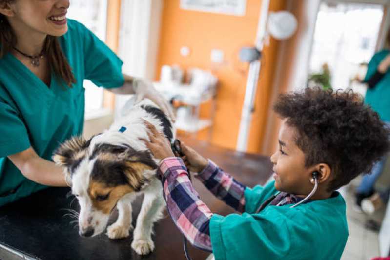 Contato de Pronto Socorro 24h para Animais Santa Cruz - Pronto Socorro para Cães