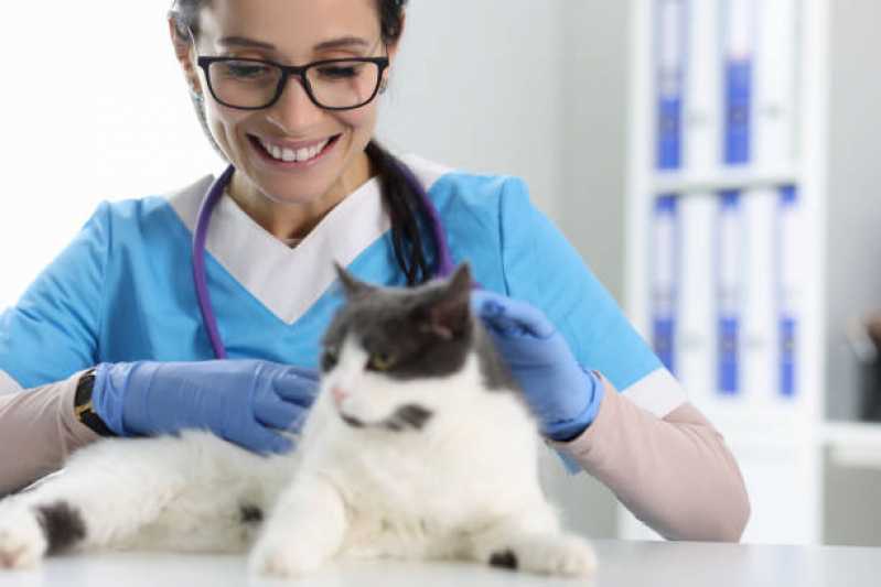 Dermatologia Animal Céu Azul - Dermatologista de Animais
