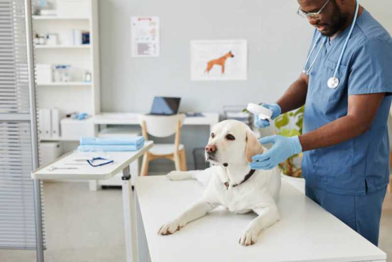 Dermatologista para Cachorro Tupãssi - Dermatologia Animal