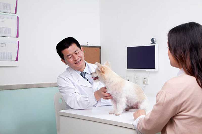 Diagnóstico por Imagem em Filhotes de Cachorro Marcar Santo Onofre - Diagnóstico por Imagem em Medicina Veterinária