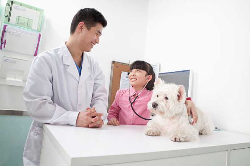 Diagnóstico por Imagem em Filhotes de Cachorro Jardim Anápolis - Diagnóstico por Imagem em Medicina Veterinária