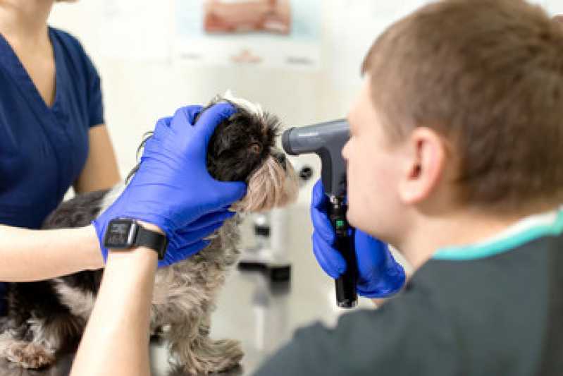 Diagnóstico por Imagem Medicina Veterinária Neva - Diagnóstico por Imagem em Pequenos Animais