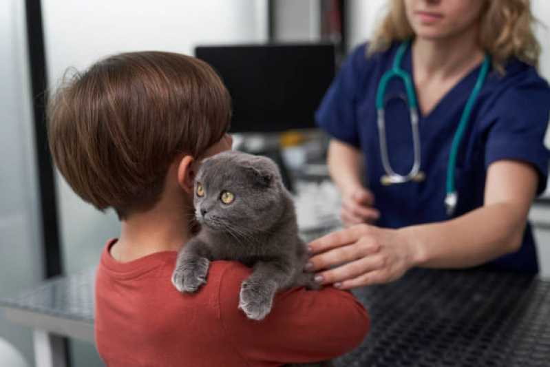 Endereço de Clínica Veterinária Gatos e Cachorros Morumbi - Clínica Veterinária 24 Horas