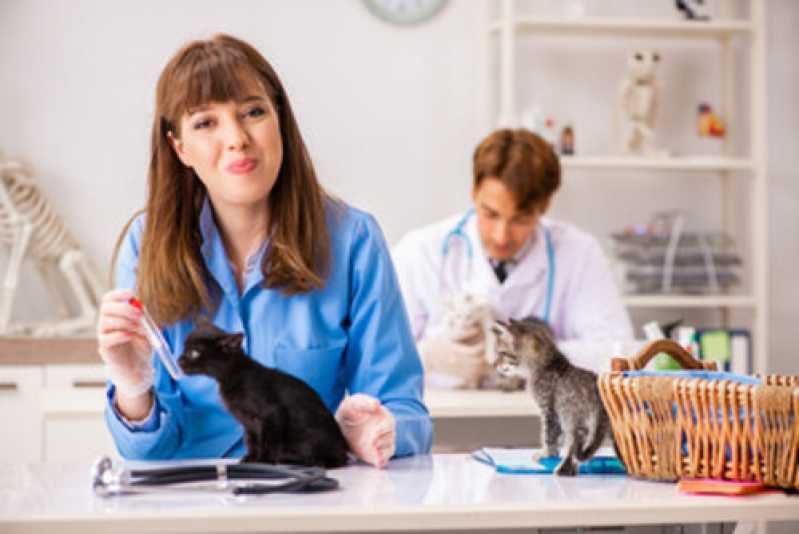 Exames Laboratoriais para Cachorro Jardim Coopagro - Exames de Dermatologia para Animais