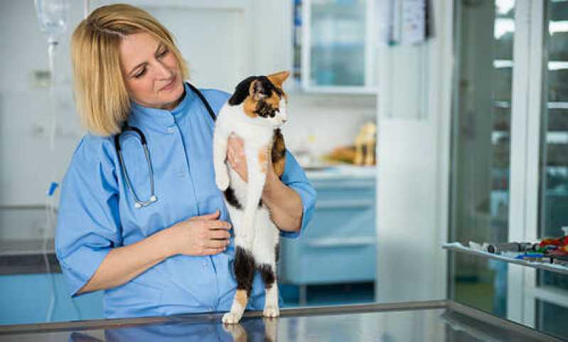 Exames Líquidos Cavitários para Animais Assis - Exames de Hematologia para Animais