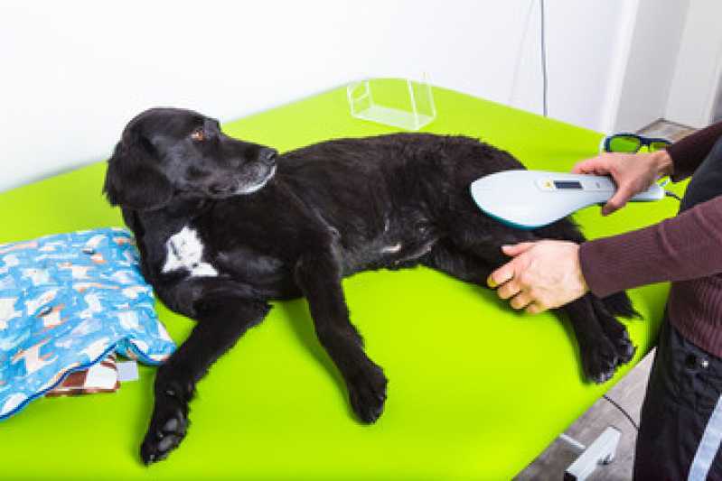 Hospital Veterinário Animal Vila Becker - Hospital Veterinário de Cães e Gatos