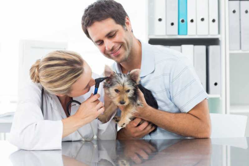 Medicina Preventiva Animal Clínica Santa Cruz - Medicina Preventiva para Cães