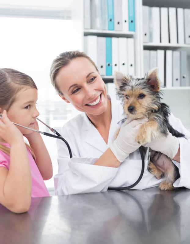 Medicina Preventiva para Cachorros Jardim Recanto - Medicina Preventiva para Animal de Estimação