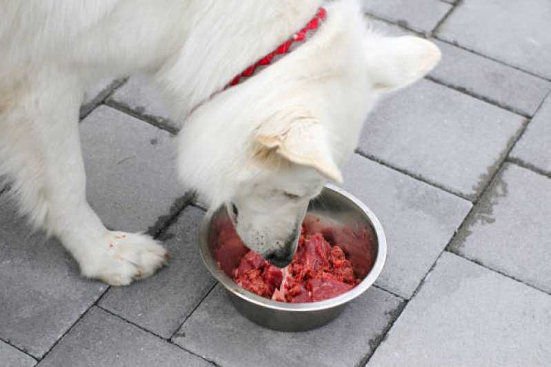 Nutrição Veterinária Canina Agendar Novo Sarandi - Nutrição Veterinária para Animais