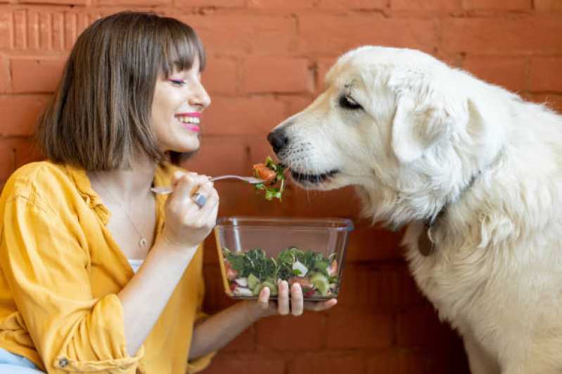 Nutrição Veterinária para Animais Ramilândia - Nutrição Veterinária para Cachorro