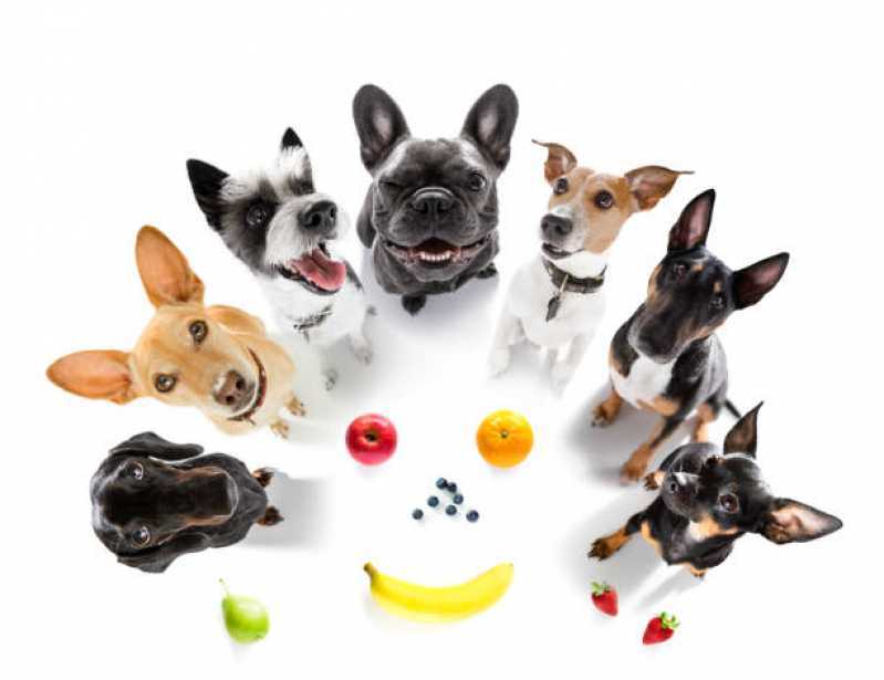 Nutrição Veterinária para Cachorro Jardim Recanto - Nutrição Veterinária para Gatos e Cachorros
