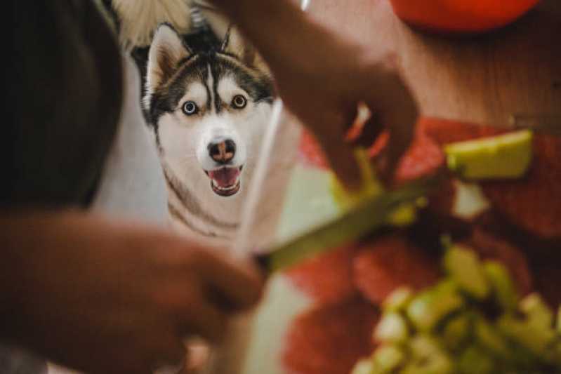 Nutrição Veterinária para Cachorros Agendar Iracema do Oeste - Nutrição Veterinária Canina