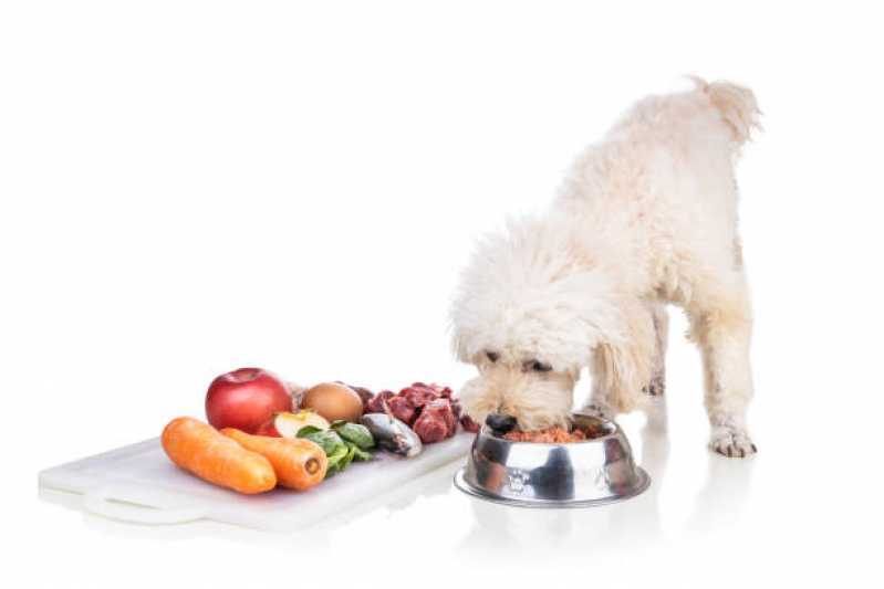 Nutrição Veterinária para Pequenos Animais Agendar Área Rural de Toledo - Nutrição Veterinária para Cachorro