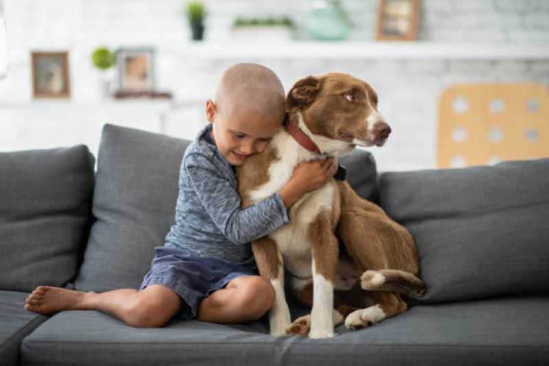 Oncologia para Animais Clínica Ouro Verde do Oeste - Oncologia para Cachorro Cascavel