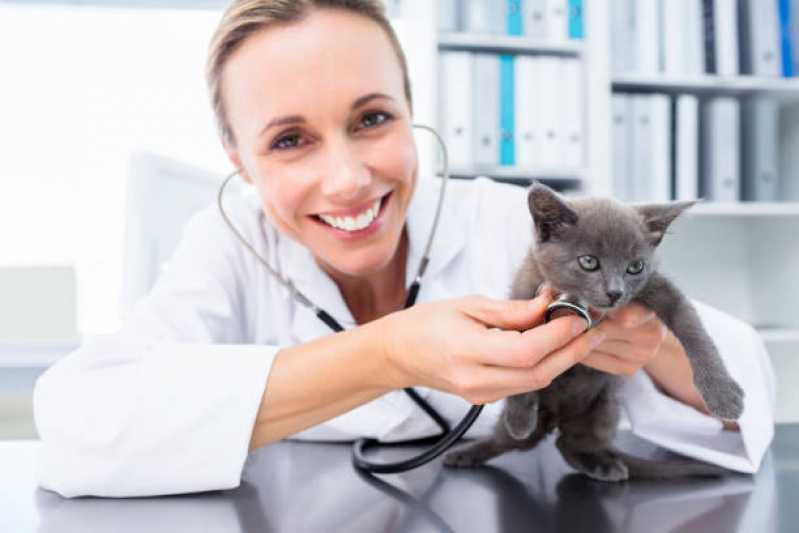 Onde Agendar Consulta Veterinária para Animais de Estimação Maria Luiza - Consulta Veterinária para Gatos