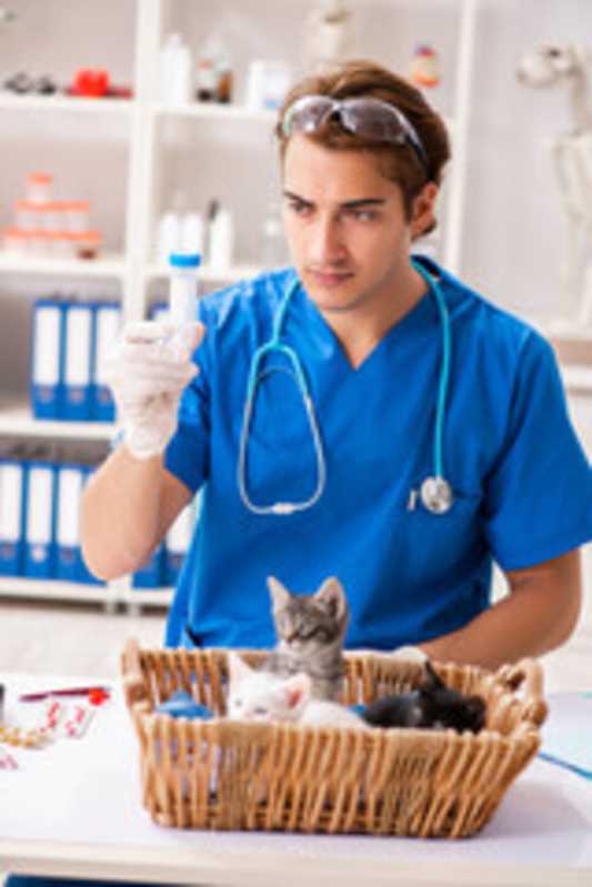 Onde Agendar Exames Laboratoriais para Cachorro Maracanã - Exames Patologia para Animais