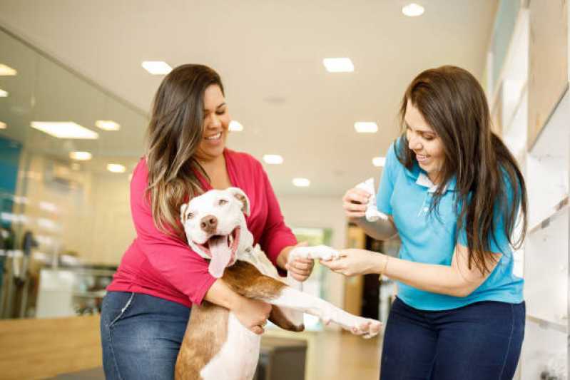 Onde Encontrar Pet Shop para Gatos Ibema - Pet Shop com Clínica Veterinária