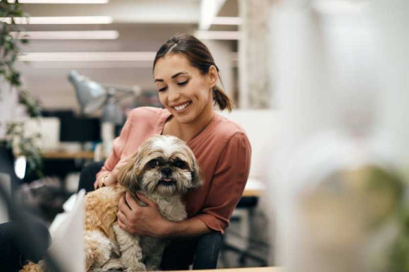 Onde Encontrar Pet Shop Perto Jardim Pancera - Pet Shop com Clínica Veterinária