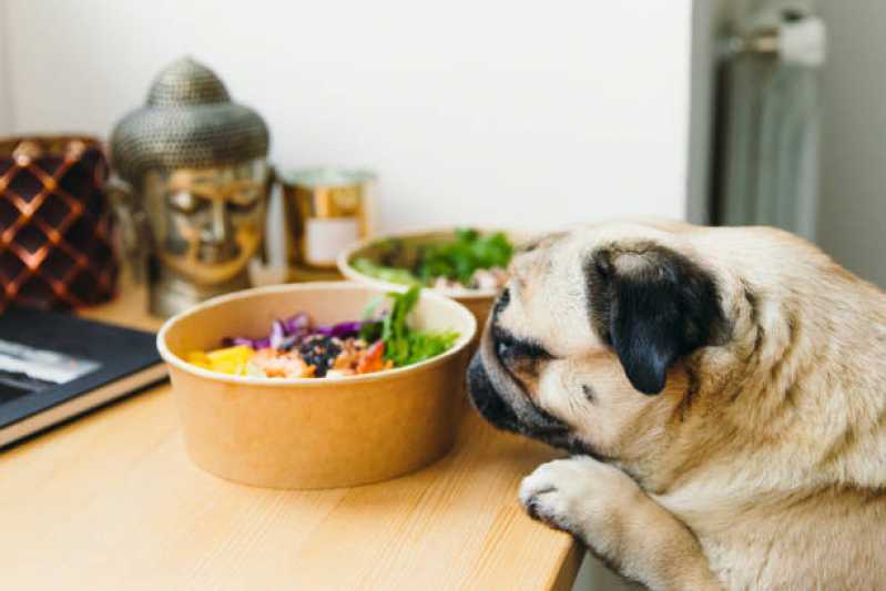 Onde Faz Nutrição Veterinária para Pequenos Animais Lindoeste - Nutrição Veterinária Canina