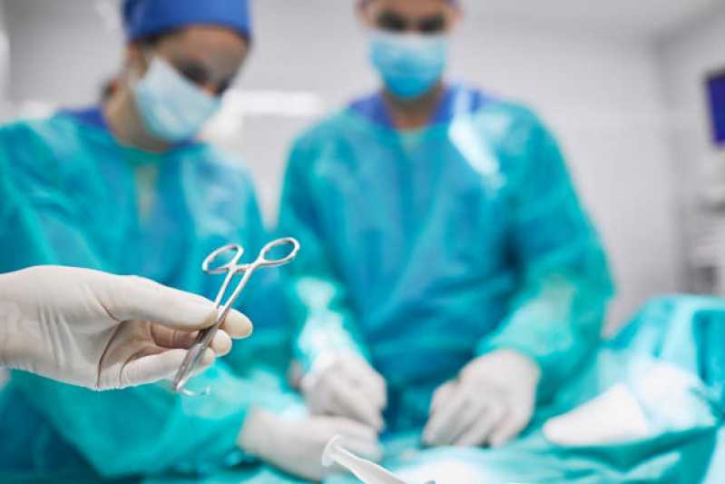 Onde Fazer Cirurgia Animal São José das Palmeiras - Cirurgia Ortopédica Veterinária