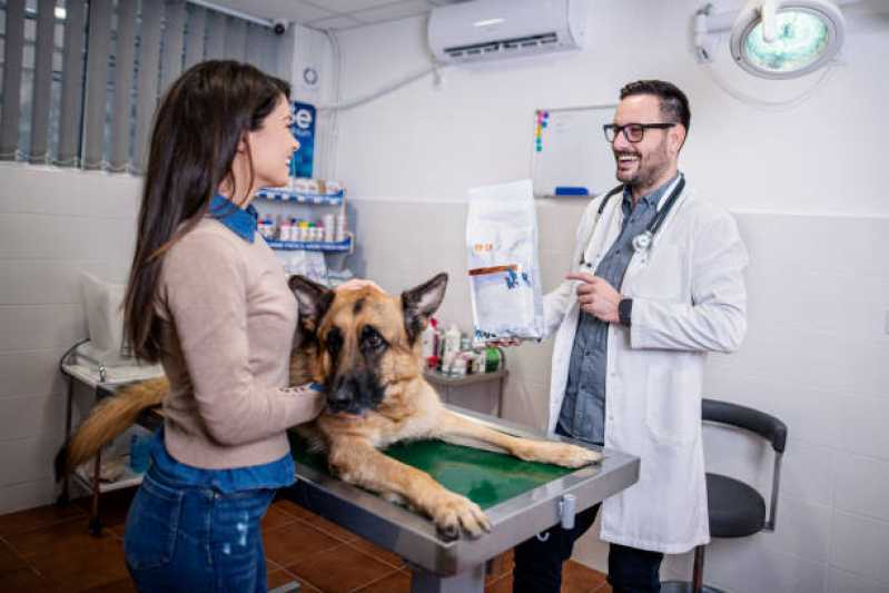 Onde Marcar Consulta para Animais Corbélia - Consulta Veterinária para Cachorros
