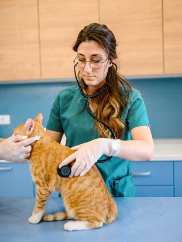 Onde Tem Cardiologista para Cães e Gatos Maracanã - Cardiologista Animal
