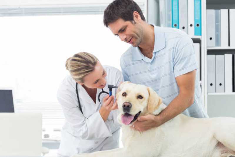 Onde Tem Dermatologia em Cães Coqueiral - Dermatologista Pet