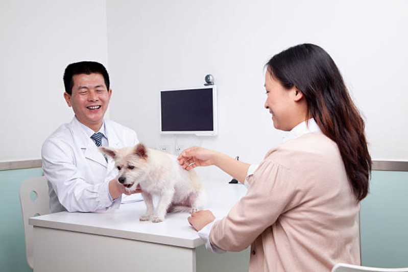 Onde Tem Diagnóstico por Imagem em Medicina Veterinária XIV De Novembro - Diagnóstico por Imagem em Cachorros