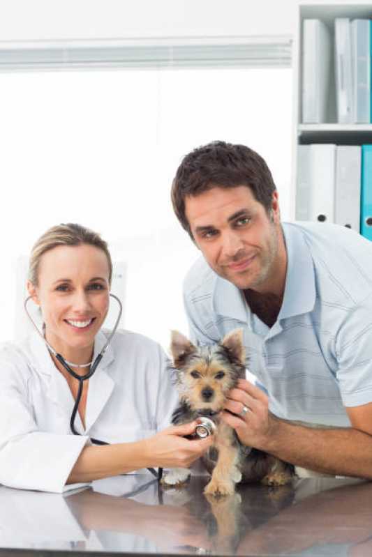 Onde Tem Medicina Preventiva Animal Esmeralda - Medicina Preventiva para Cães