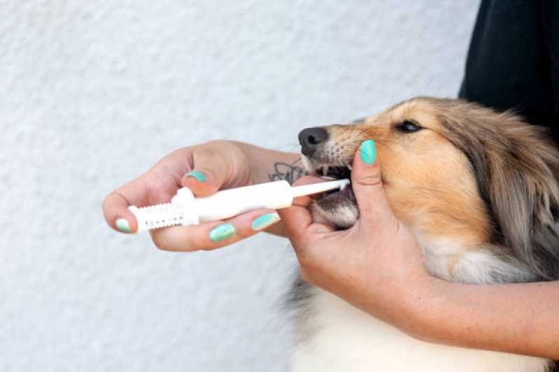 Onde Tem Odontologia Cachorro XIV De Novembro - Odontologia para Cachorro Cascavel