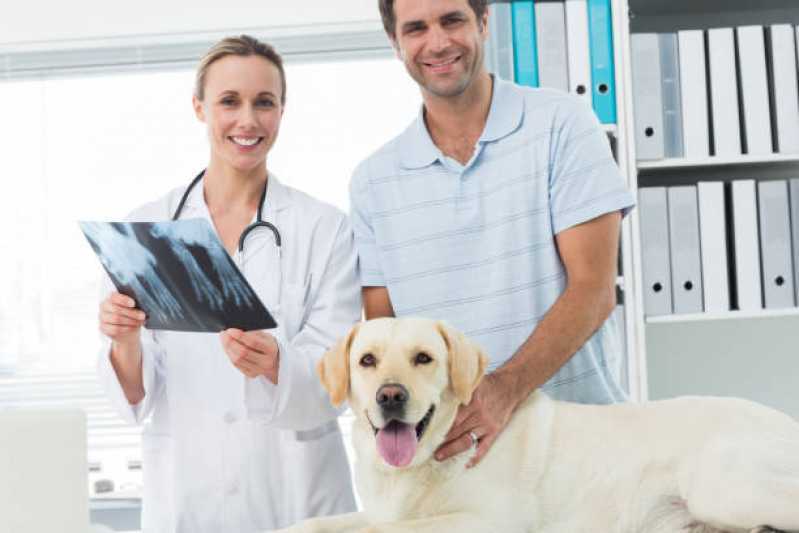 Ortopedia Animal Tupãssi - Ortopedia para Animais de Médio Porte