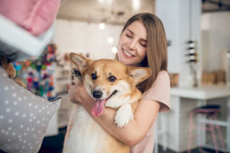Pet Shop Banho e Tosa Contato Centro de Toledo - Pet Shop com Clínica Veterinária
